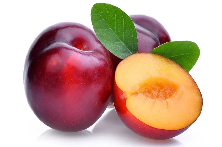 Plum