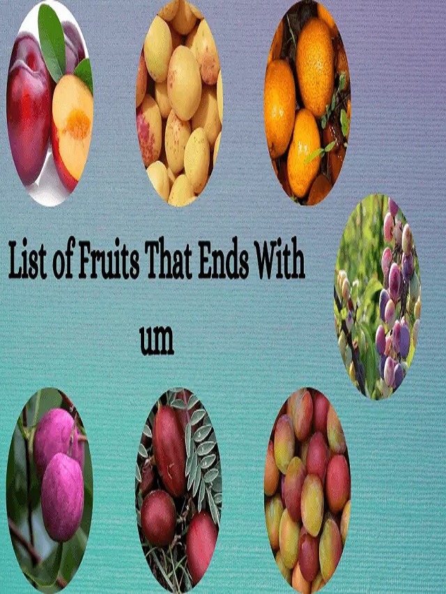 List of Fruits That Ends With um